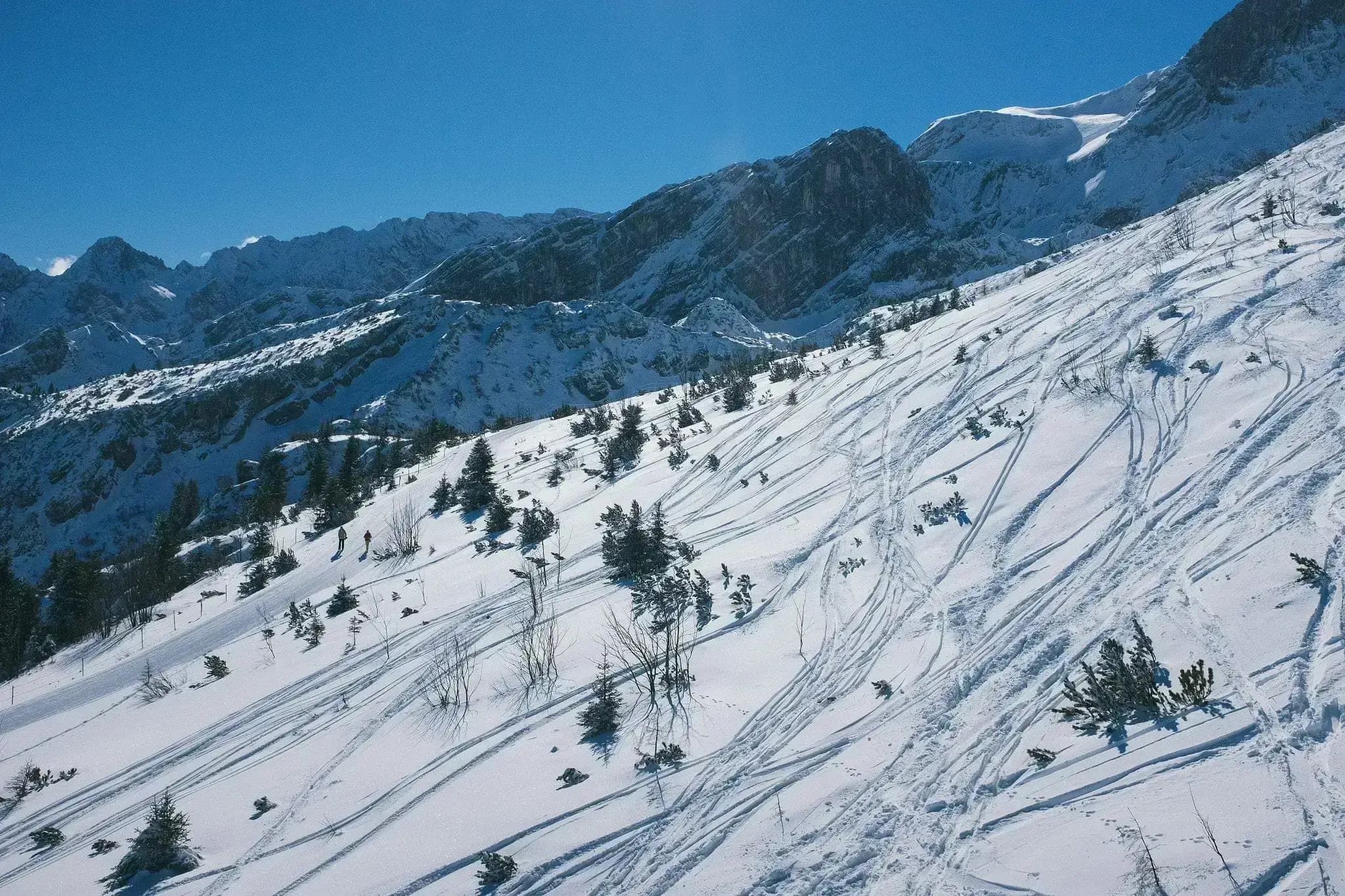 Snowy Mountains Skiing