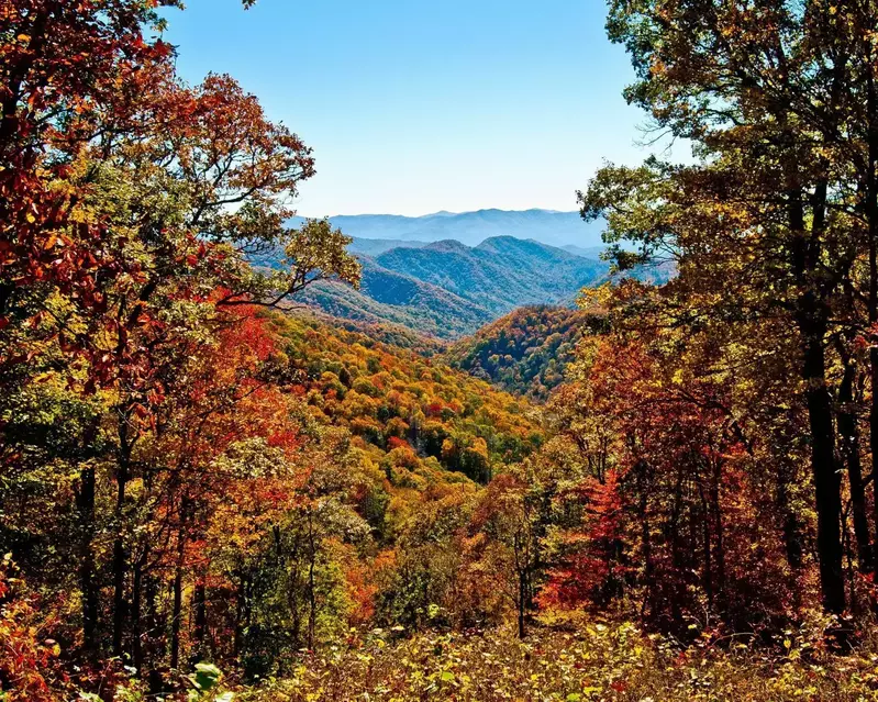 autumn smoky mountains